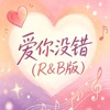 大头针R&B - 爱你没错(R&B版)