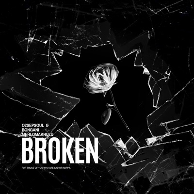 Broken (feat. Bongani Mehlomakhulu & Othul'Indaba) - Single