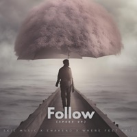 Follow (Speed Up) - Single - Skie Music, Where Feet Fail & Enakeno
