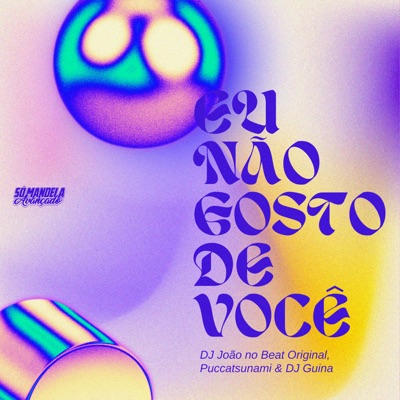 Eu Não Gosto de Você - Single