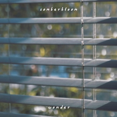 wonder - Single