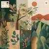 Tamarindo