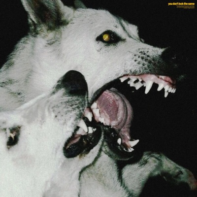 you don't look the same - Single