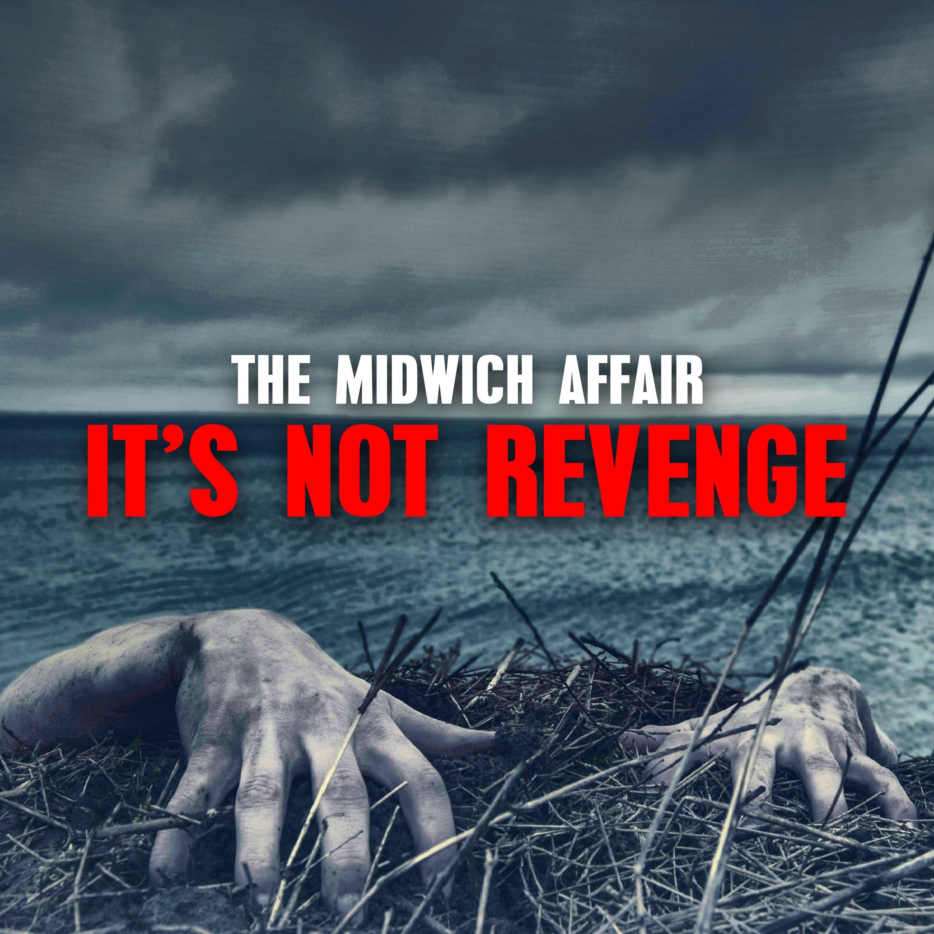 It's Not Revenge - Single