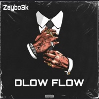 Dlow Flow - Single - Zaybo3k