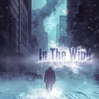 In the Wind (feat. Sleep Lyrical) - Single - Daniac
