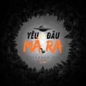 Yêu Từ Đâu Mà Ra (Extended Mix) artwork