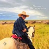 NOVILLA REVENTADORA