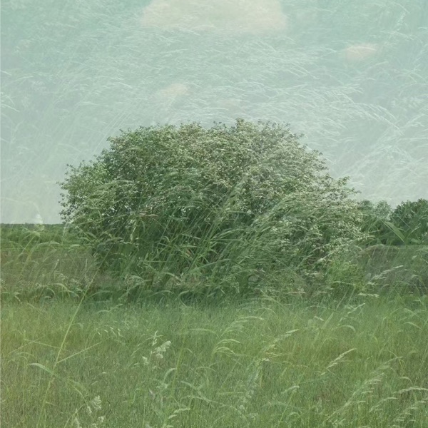 风吹过的回忆 - Single