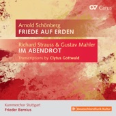 Im Abendrot (Transcr. Gottwald for Choir) artwork