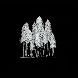 woods
