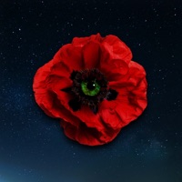 Loose Thoughts - Single - Saint & Amn3s1a