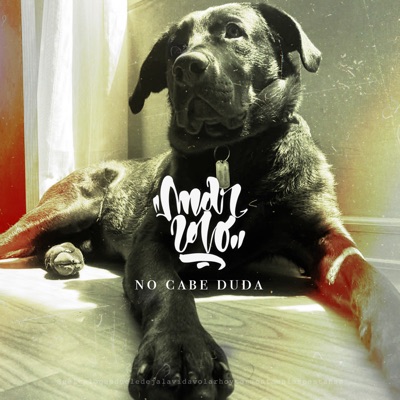 No Cabe Duda - Single