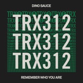 Remember Who You Are (Extended Mix) artwork