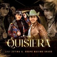 Quisiera - Single - LILI ZETINA & Grupo Maximo Grado