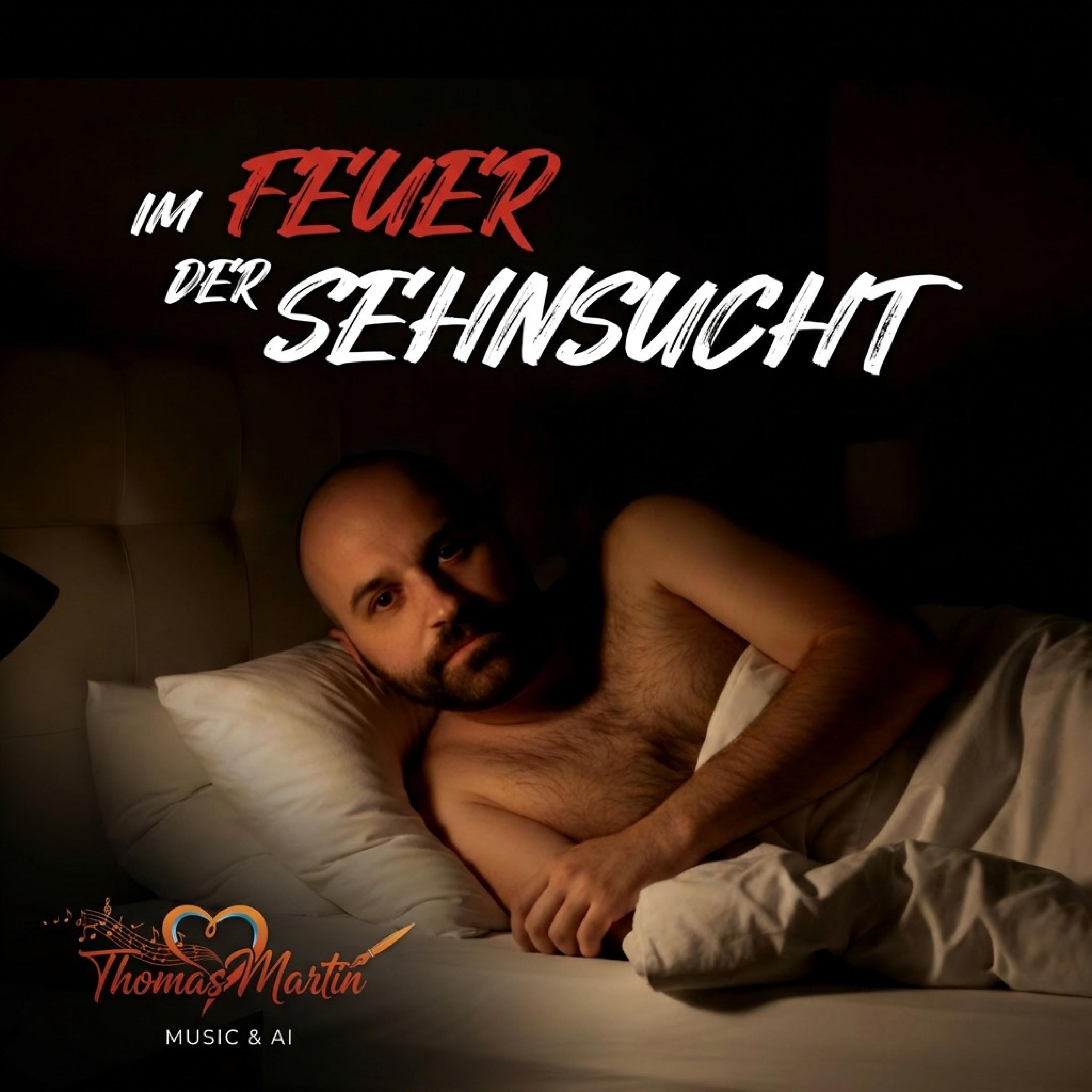 Im Feuer der Sehnsucht - Single