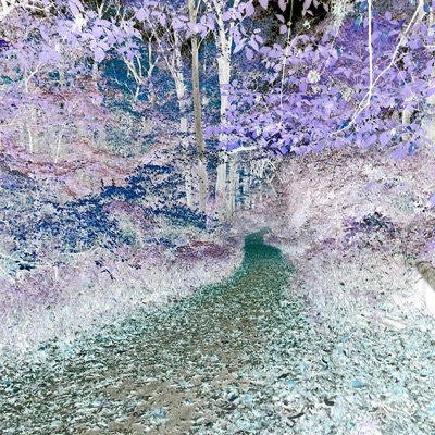 24/7 (feat. Gutterboysouz) - Single