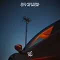 City At Night