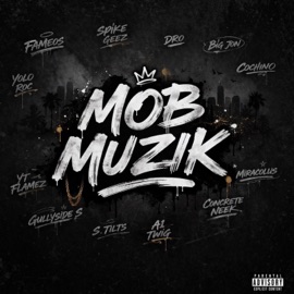 Super Freak (feat. YT Flamez, Fameos & A1 Twig) Gullyside S