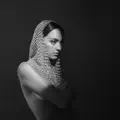 Shapeshifter