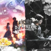 NICHT DER GLEICHE (feat. Maze116) - Single - Faevy407