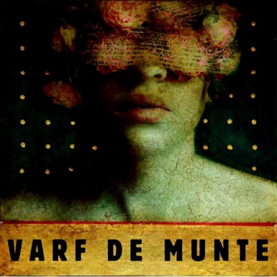Varf de munte (feat. Braco) - Single