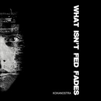 What Isn'T Fed Fades - Single - Kokanostra