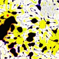 ACID - Single - JACK SAVAGE