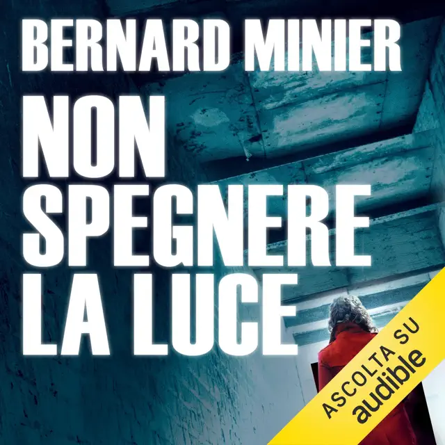 Non spegnere la luce: Un caso per Martin Servaz