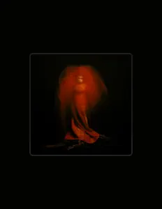 MELLAを聴いたり、ミュージックビデオを鑑賞したり、経歴やツアー日程などを確認したりしましょう！