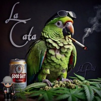 LA CATA - Single - Lil Pitt