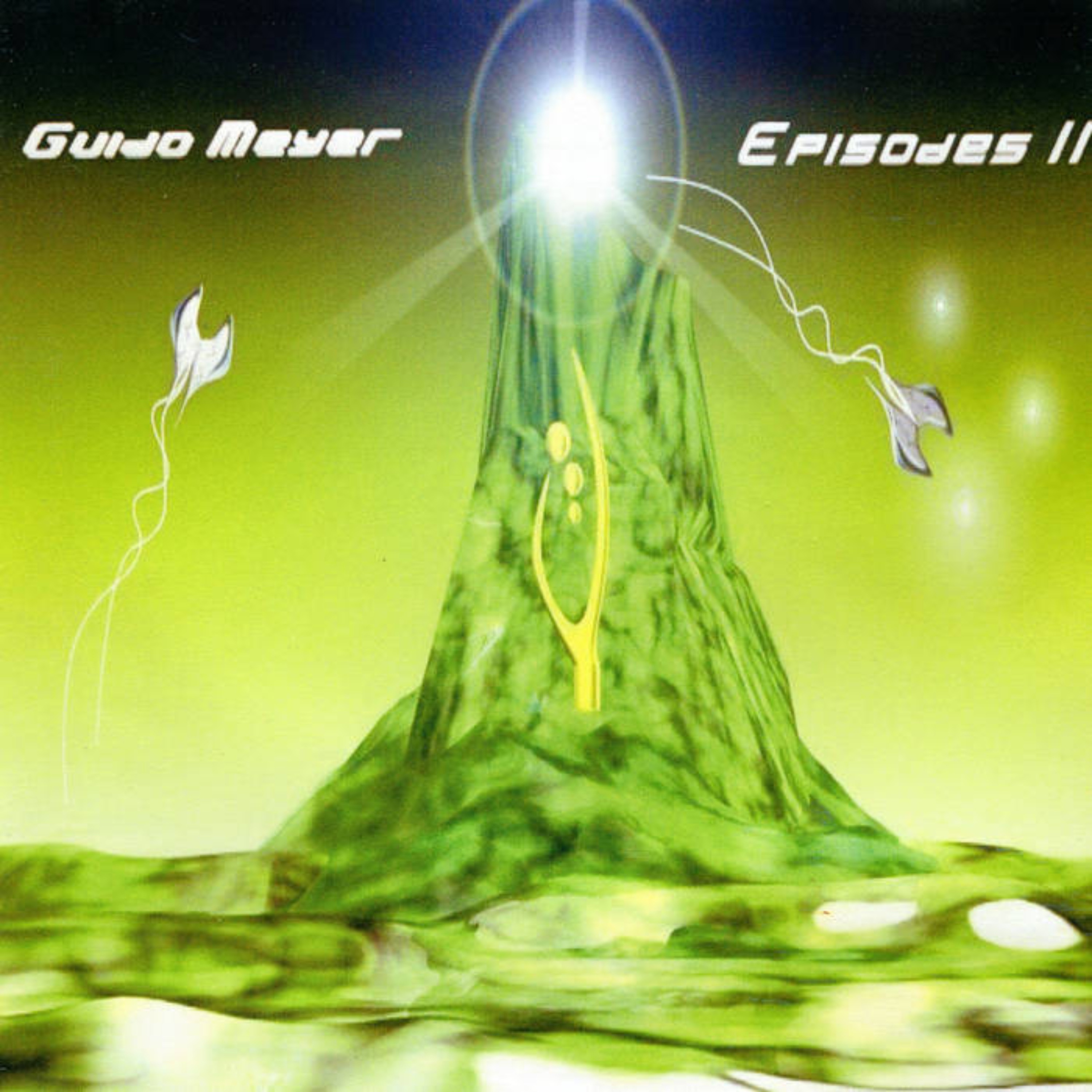 A Night with the Whales