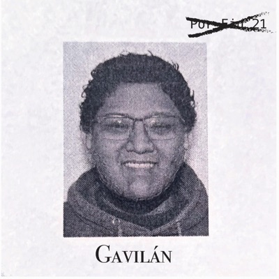Gavilán