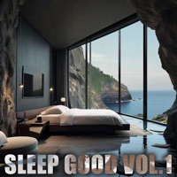 Sleep Good Vol.1 - Flamingo Deloreon & Cool & Dre