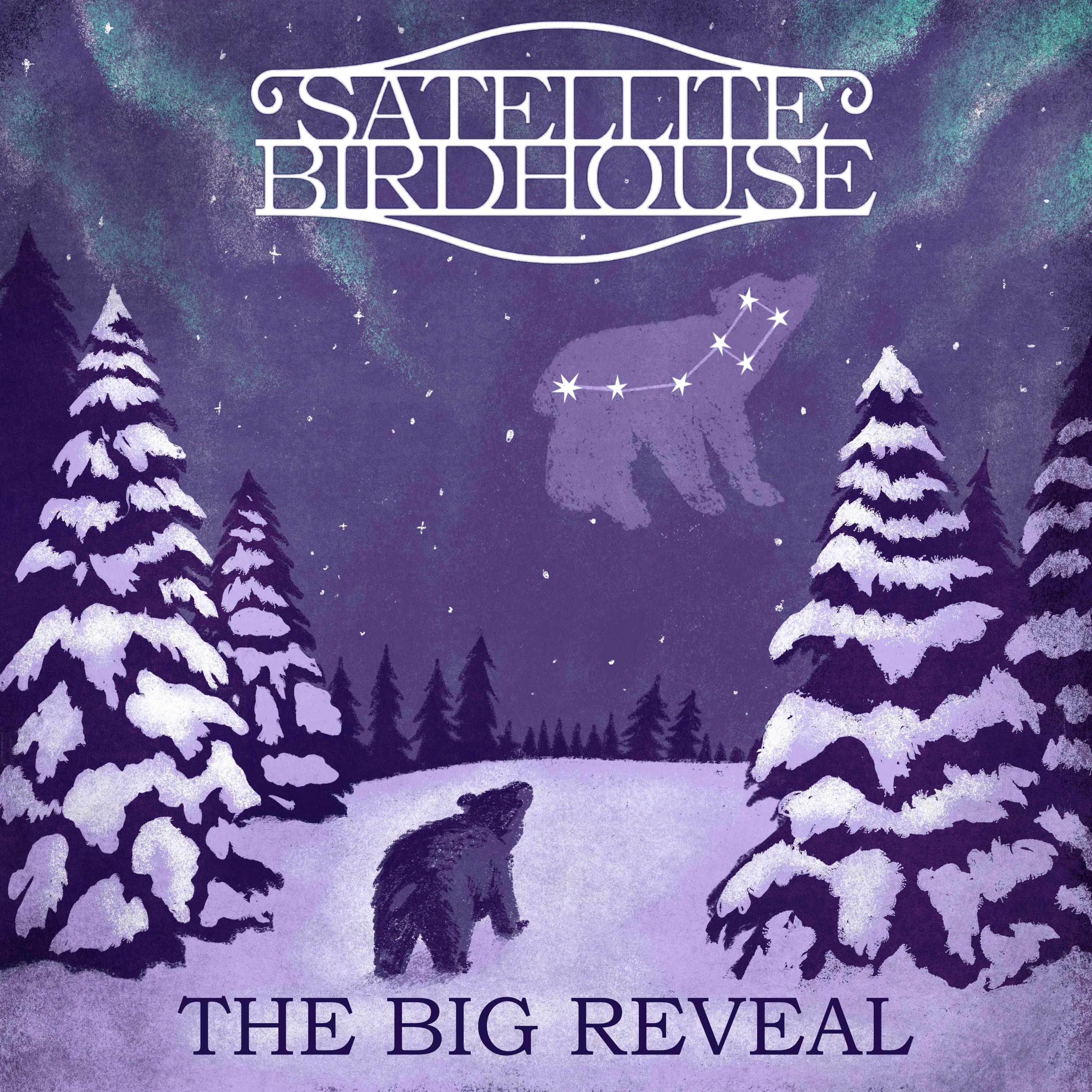 The Big Reveal - Single