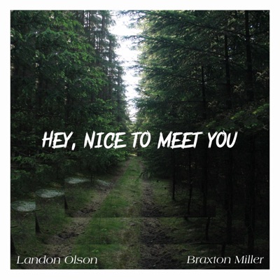 Hey, Nice To Meet You (feat. Landon olson) - Single