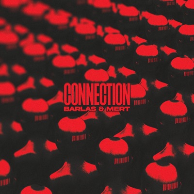Connection - Single