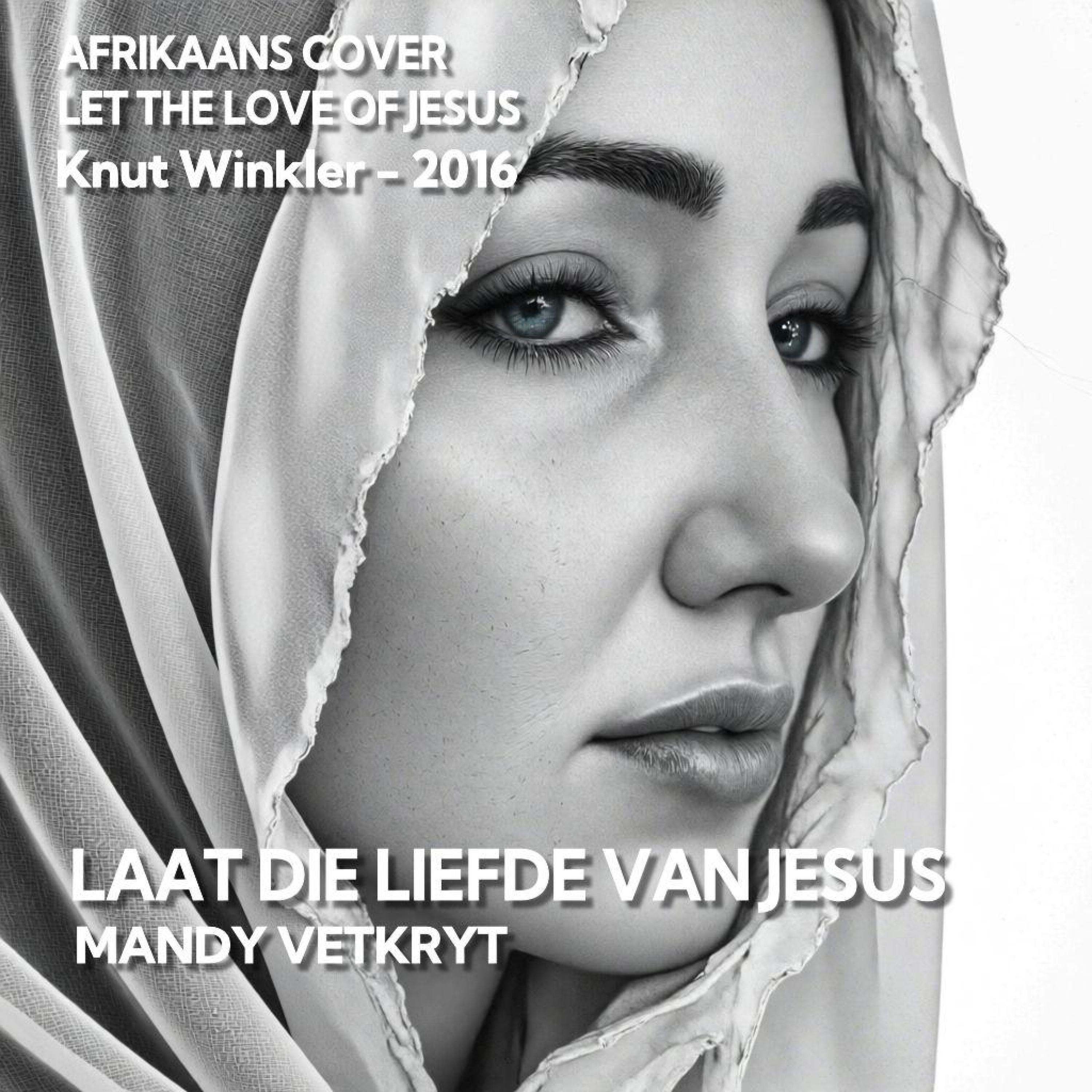 Laat die Liefde van Jesus (Afrikaans version of Let the Love of Jesus) - Single
