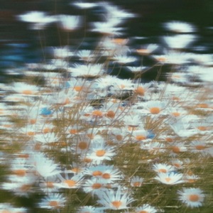 True Love - Single
