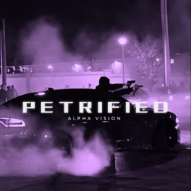 Petrified ALPHA VISION