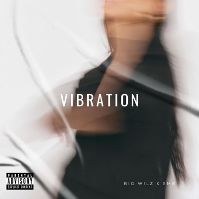 Vibration (feat. StillMixingBeats) - Single