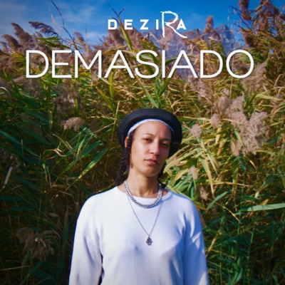 DEMASIADO (feat. Paul Schal) - Single