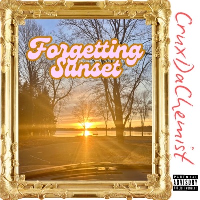 Forgetting Sunset - Single