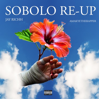 Sobolo Re-Up (feat. AmakyeTheRapper) - Single