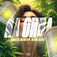 Na Onda (feat. DJ MT7) - Single - MC Monalizo, MC Wiu & Mc Brito SP