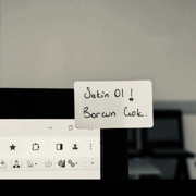 Çok Borcum Var - Mert Işık