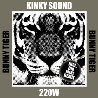 220 W - Single - Kinky Sound