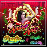 Amargo Amor (feat. Kayfex & Wariwillka) - Single - Andre