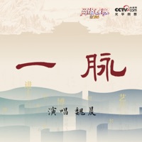 一脉 - Single - 故宮百年·生生不息 & Vision Wei
