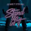 STAND UP IN IT